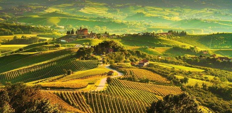 © Istockphoto  | I paesaggi incantevoli delle colline delle Langhe