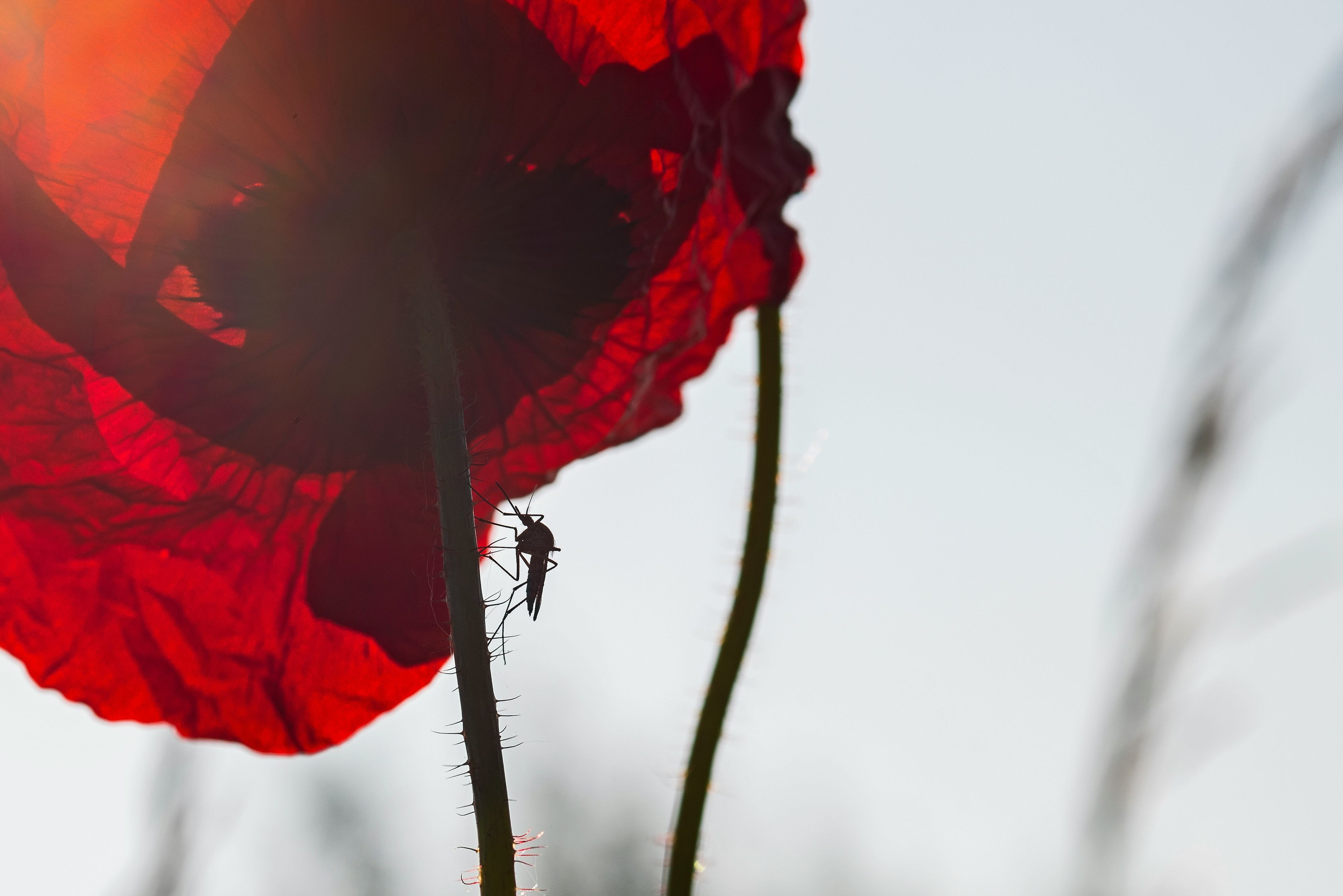 © Unsplash