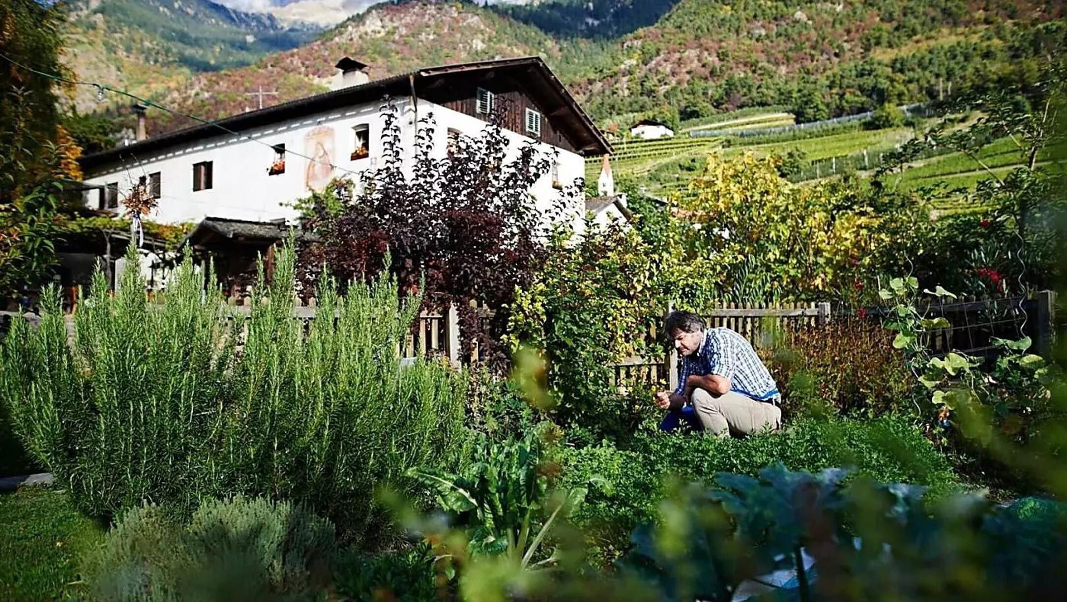 © Istockphoto  | Il panorama su Merano dalla passeggiata Tappeiner