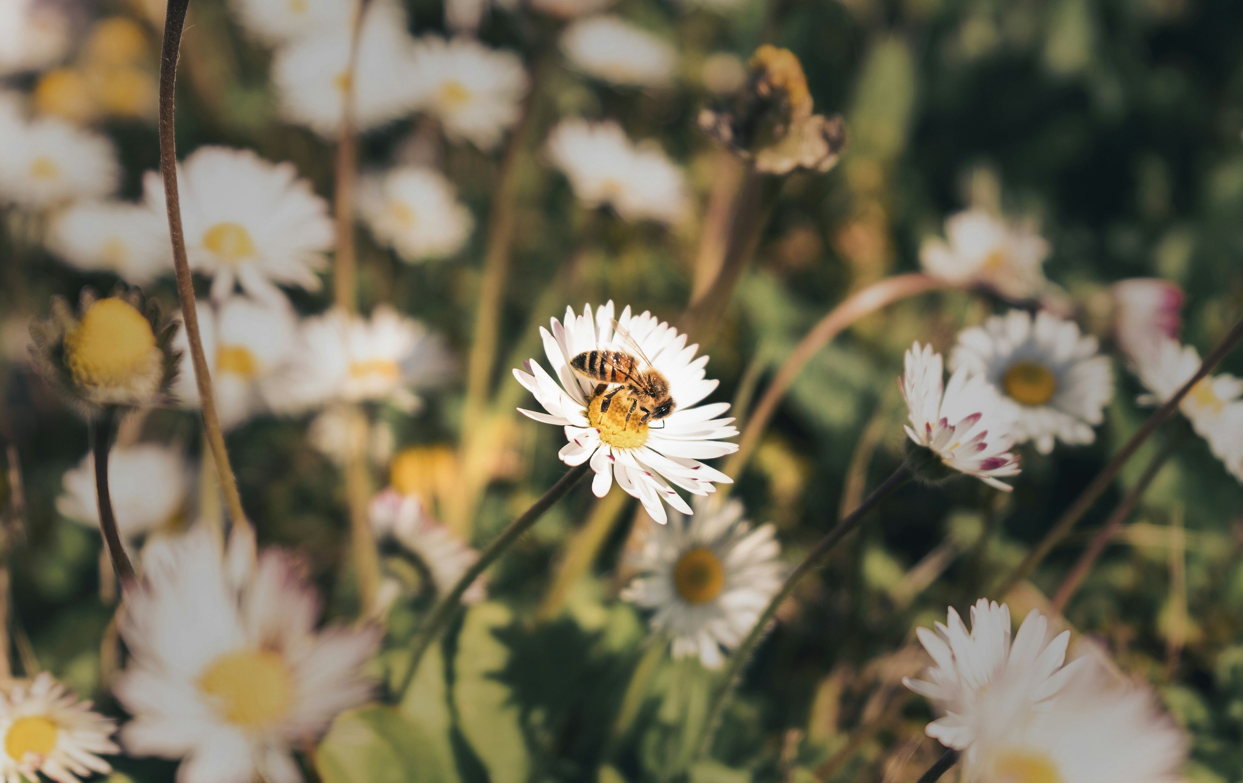 © Unsplash