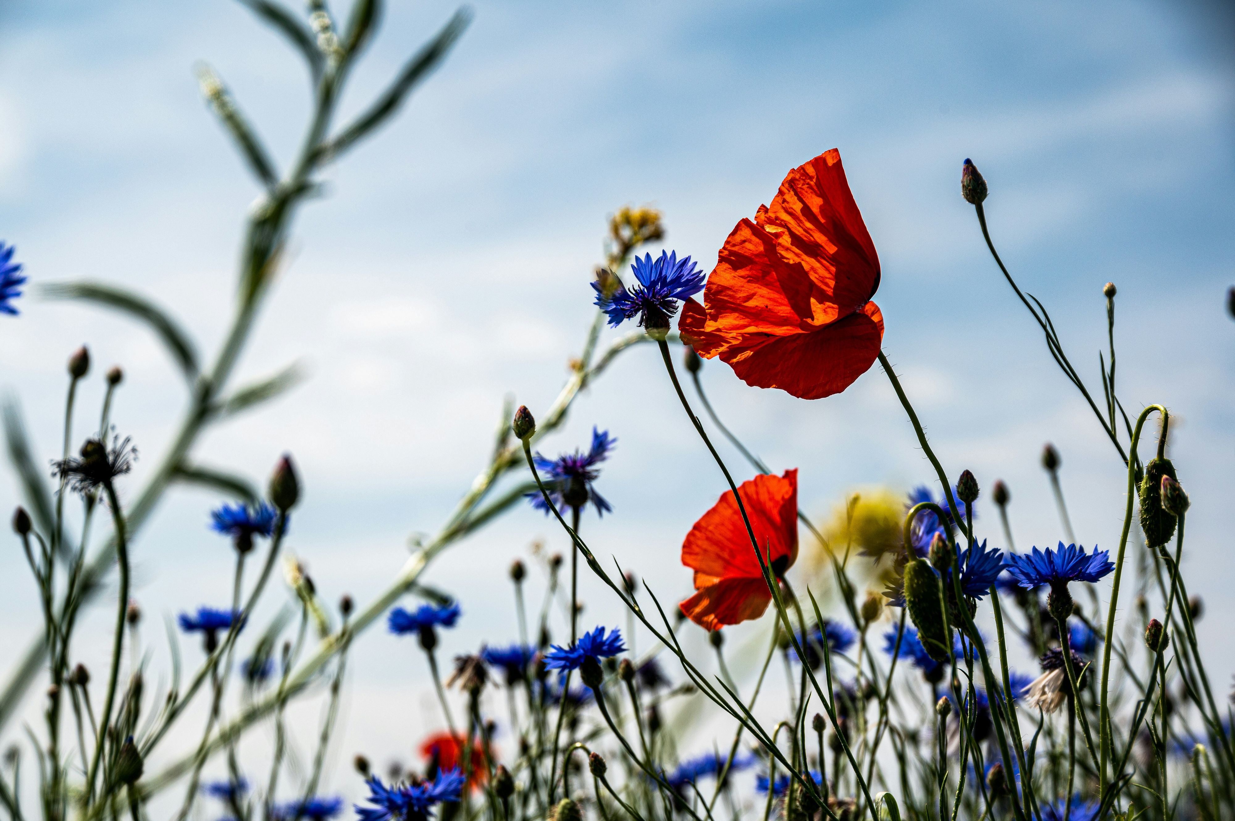 © Unsplash