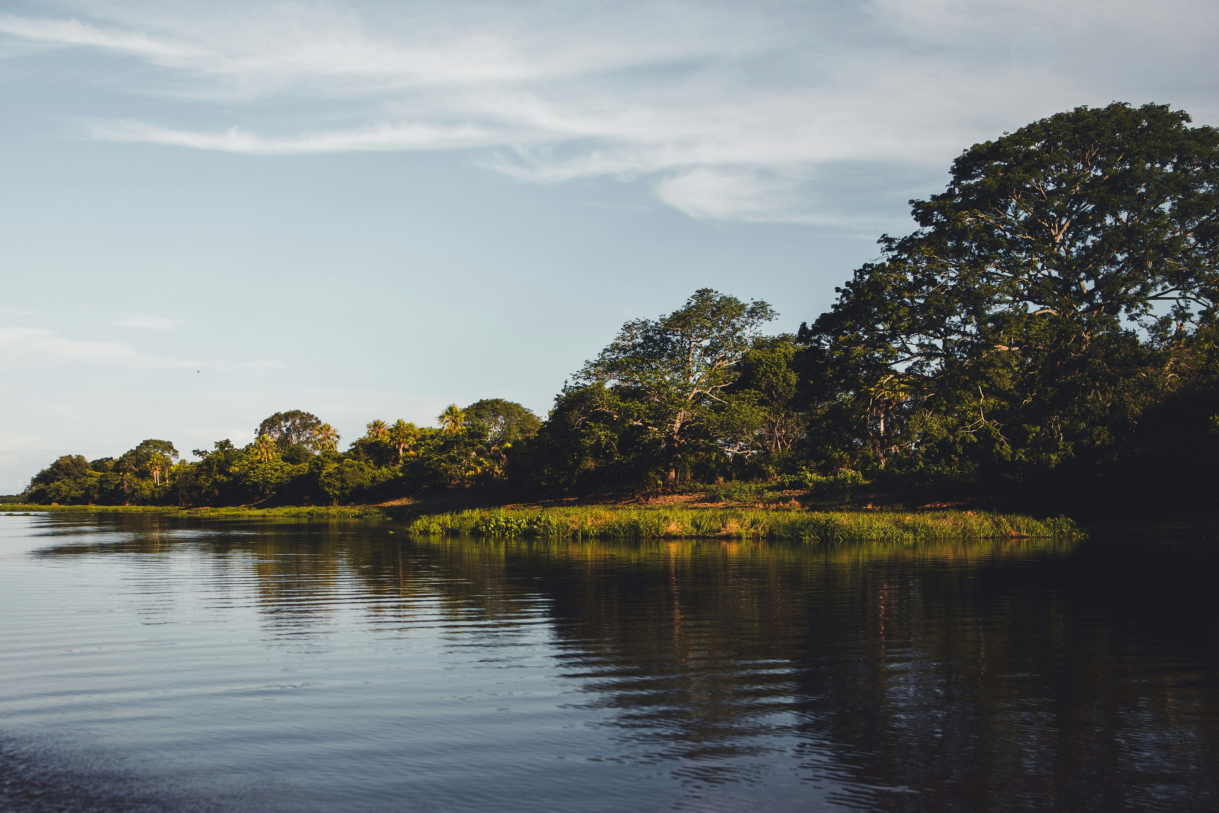 © Unsplash