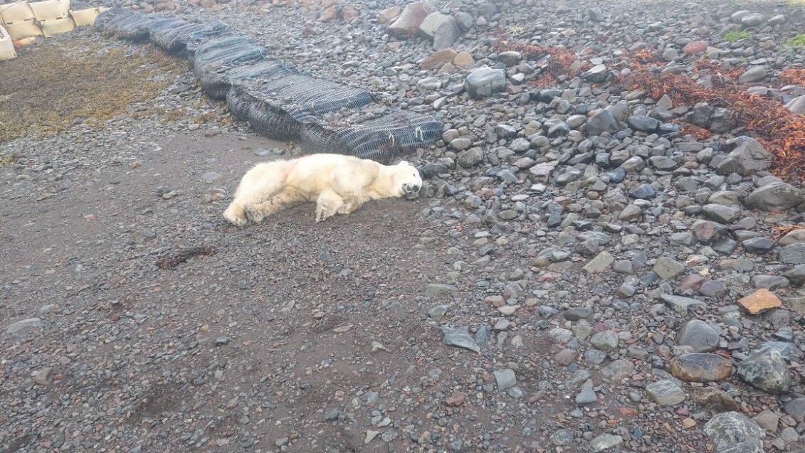 © Facebook: Lögreglan á Vestfjörðum