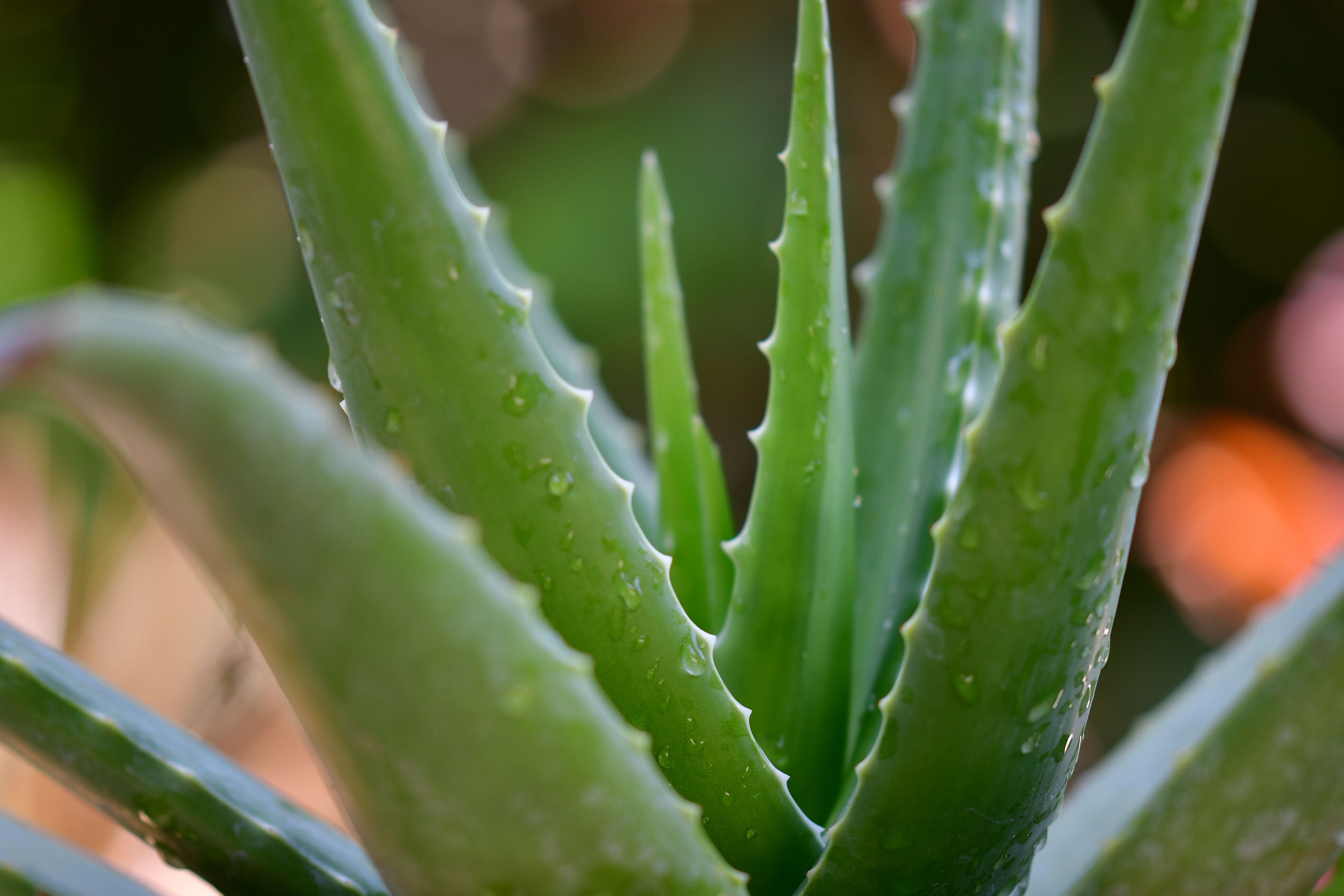 © Unsplash