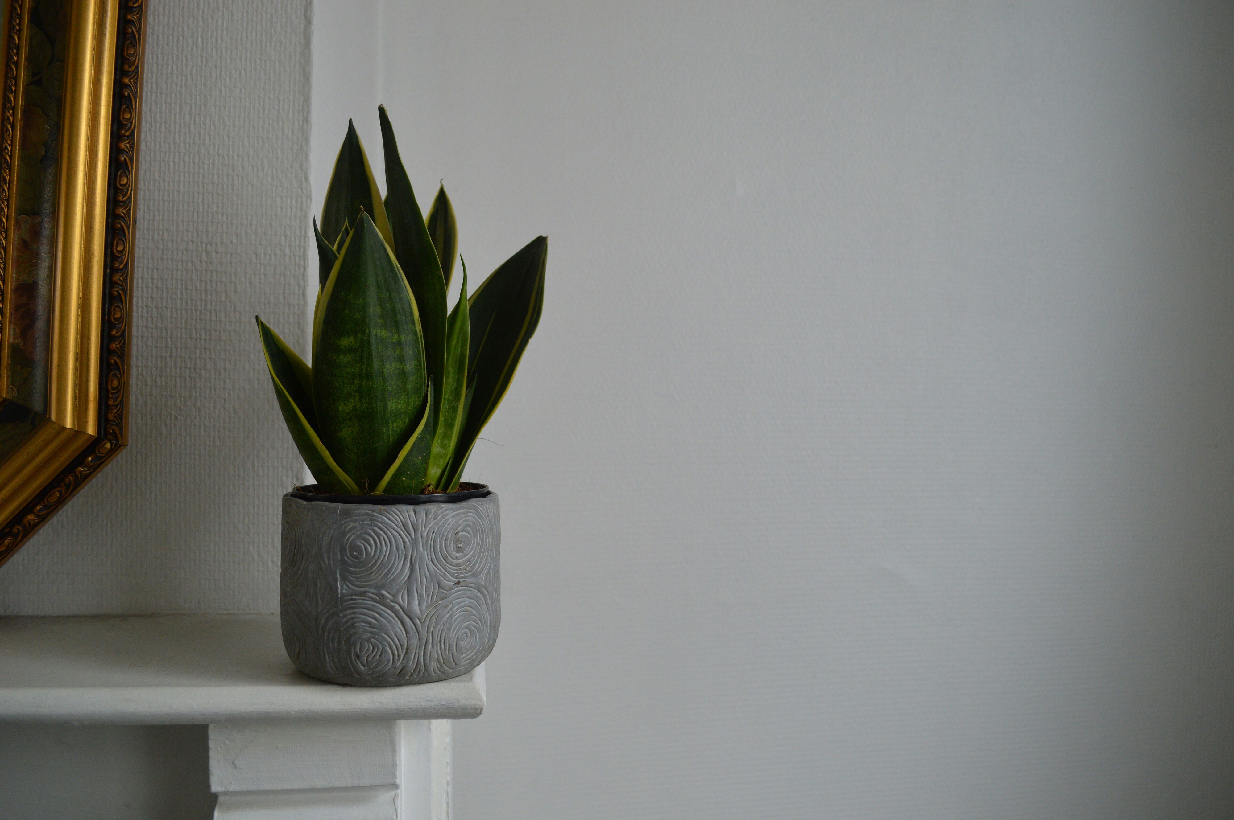 © Unsplash