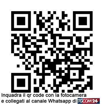 © Dal Web
