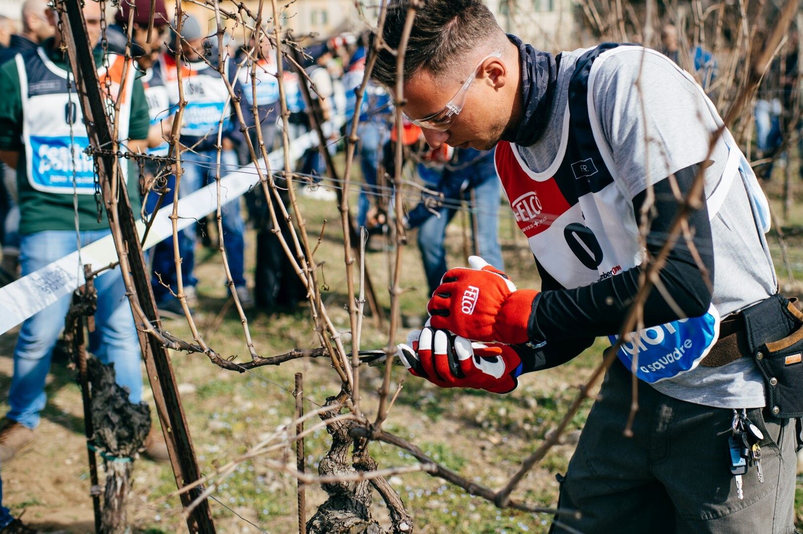 © Ufficio stampa  | Pruning Contest