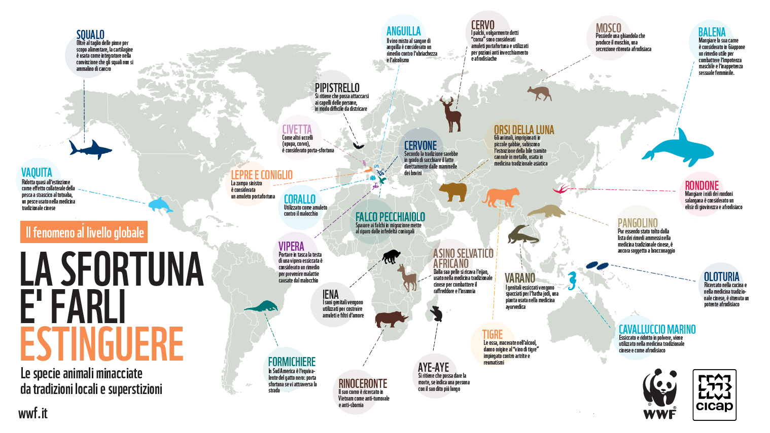 © Wwf