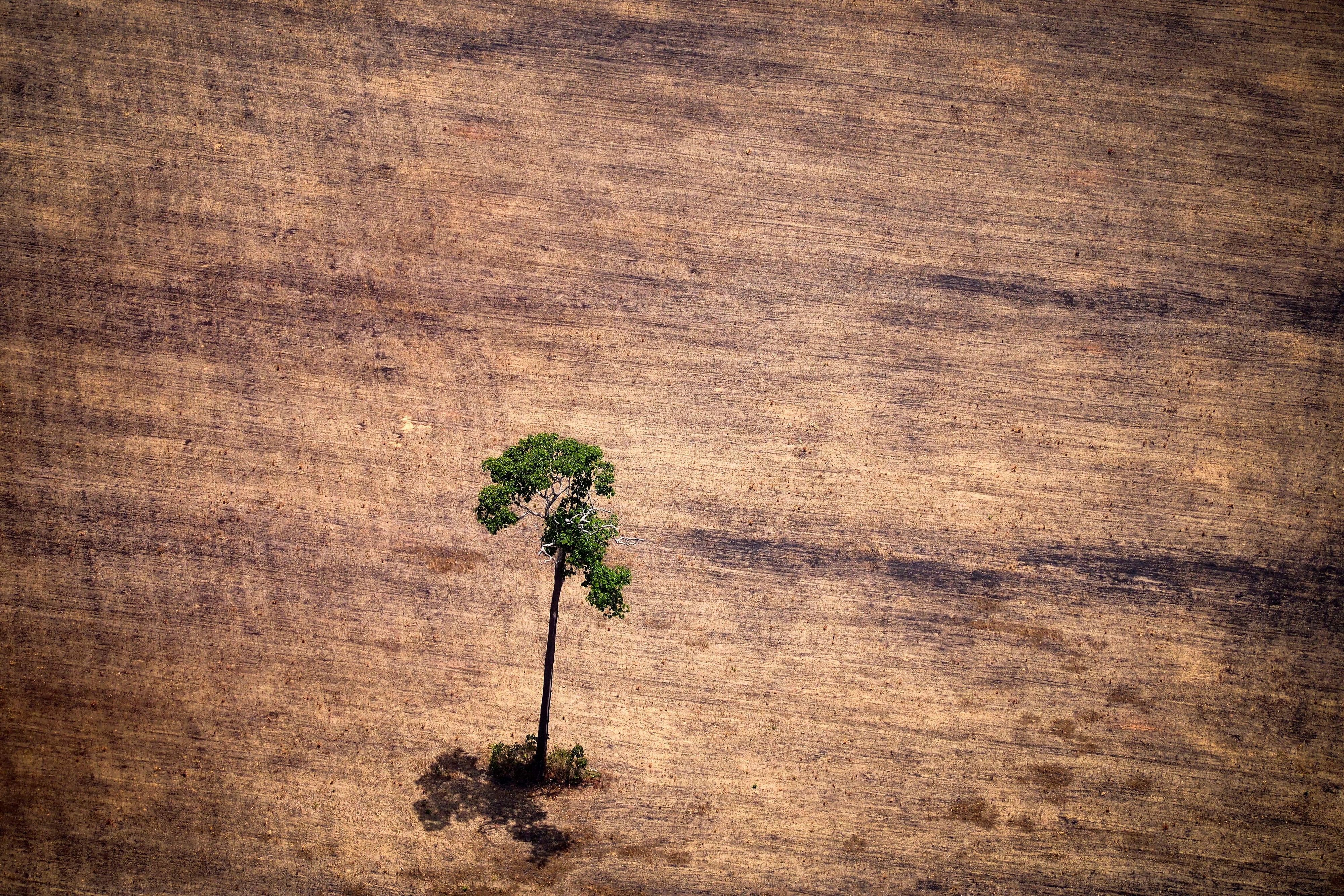 © Unsplash