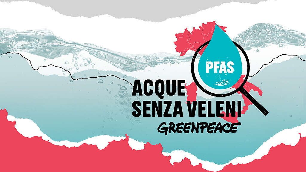 © Greenpeace