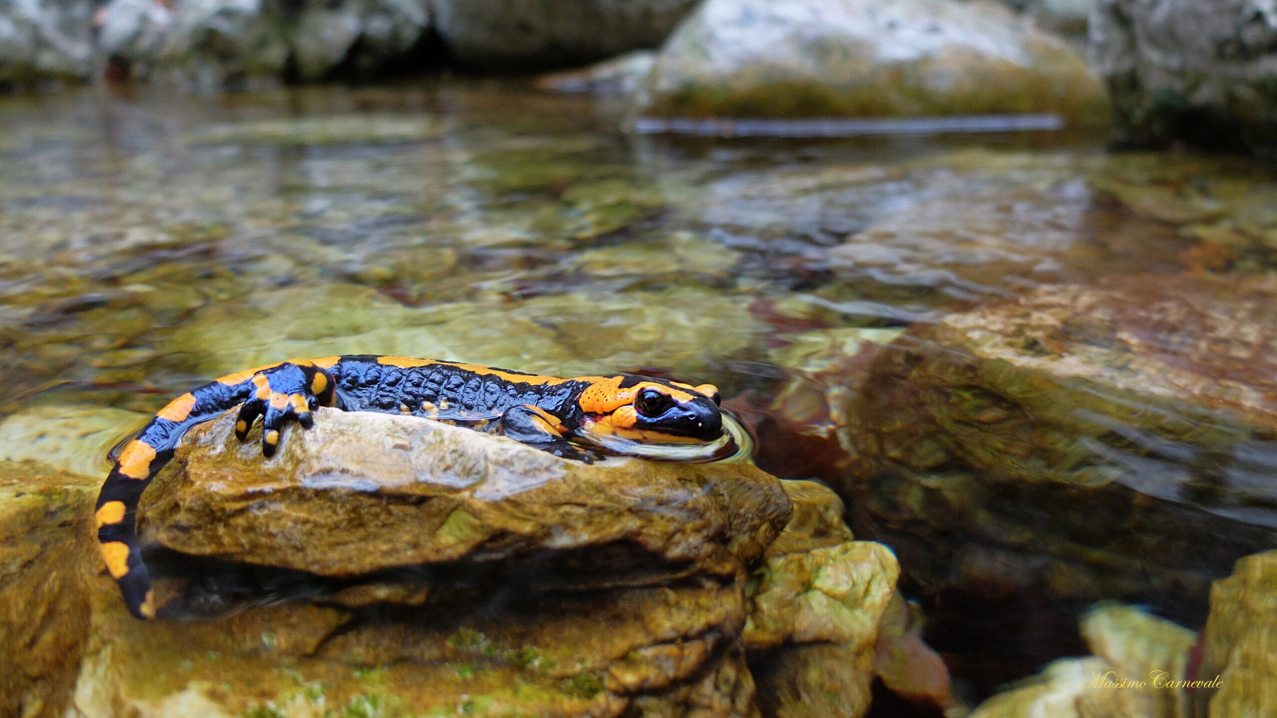 © Parco del Matese