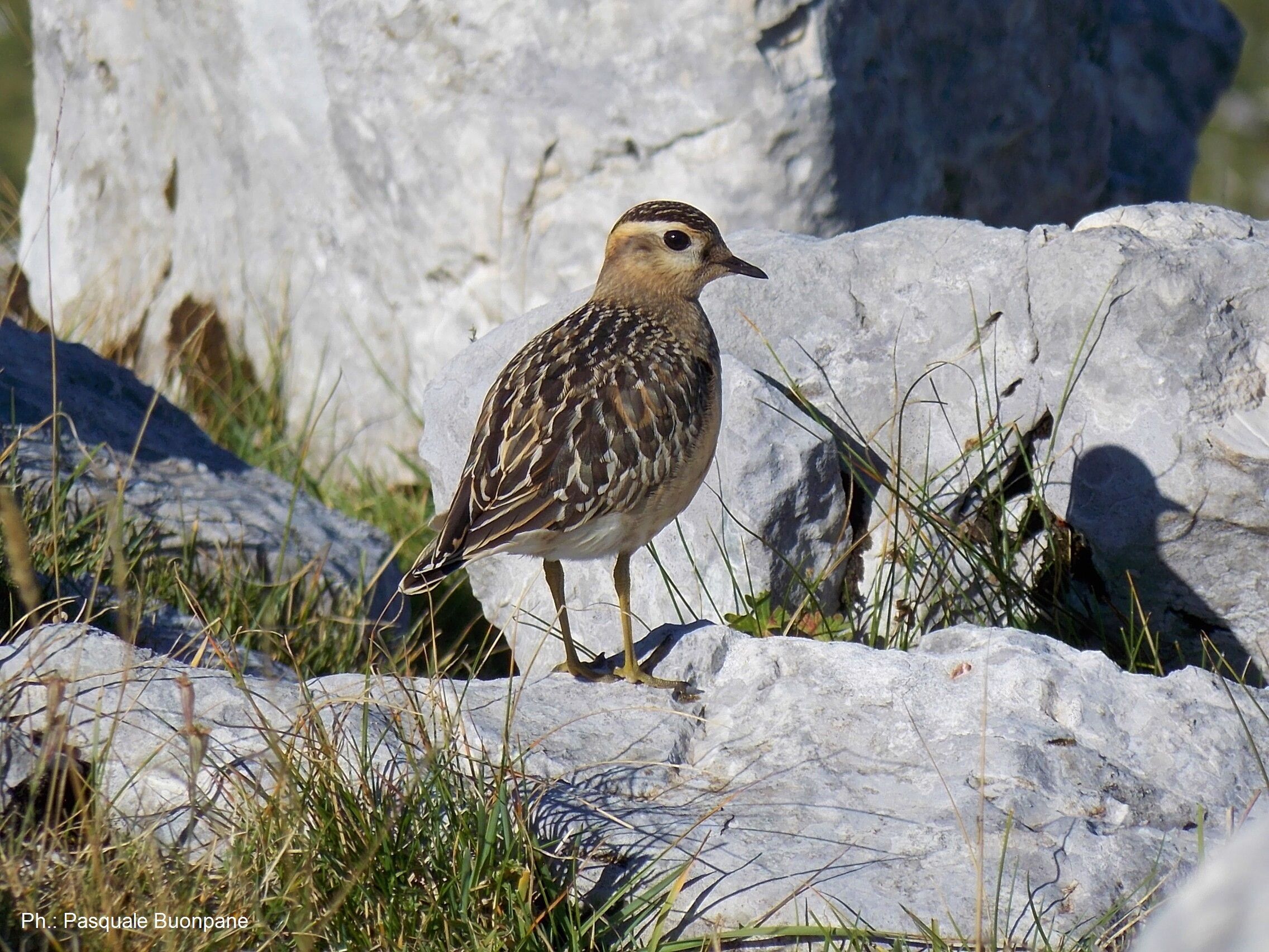 © Parco del Matese