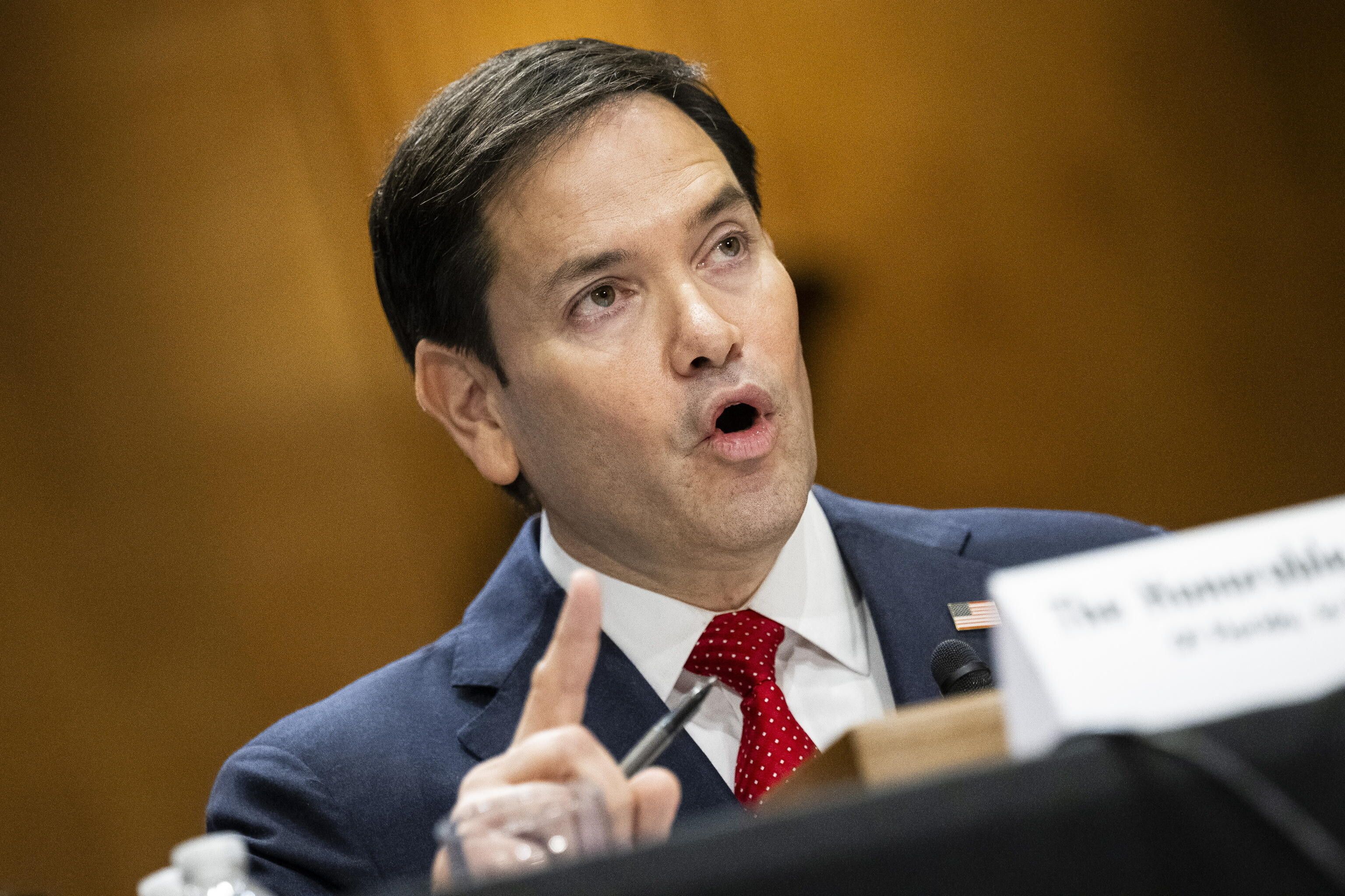 © Ansa | 	SEGRETARIO DI STATO: MARCO RUBIO - Rubio, 53 anni, è un noto falco nei confronti della Cina, di Cuba e dell'Iran. È stato vicepresidente della commissione Intelligence del Senato e membro della commissione Esteri