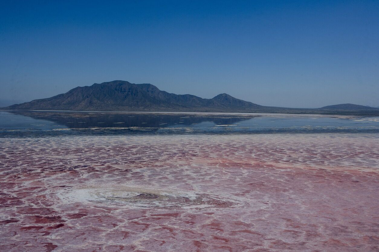© Istockphoto  |  Laguna Colorada, Bolivia