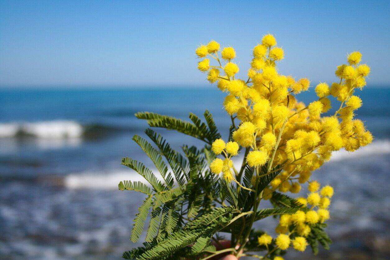 © Istockphoto 