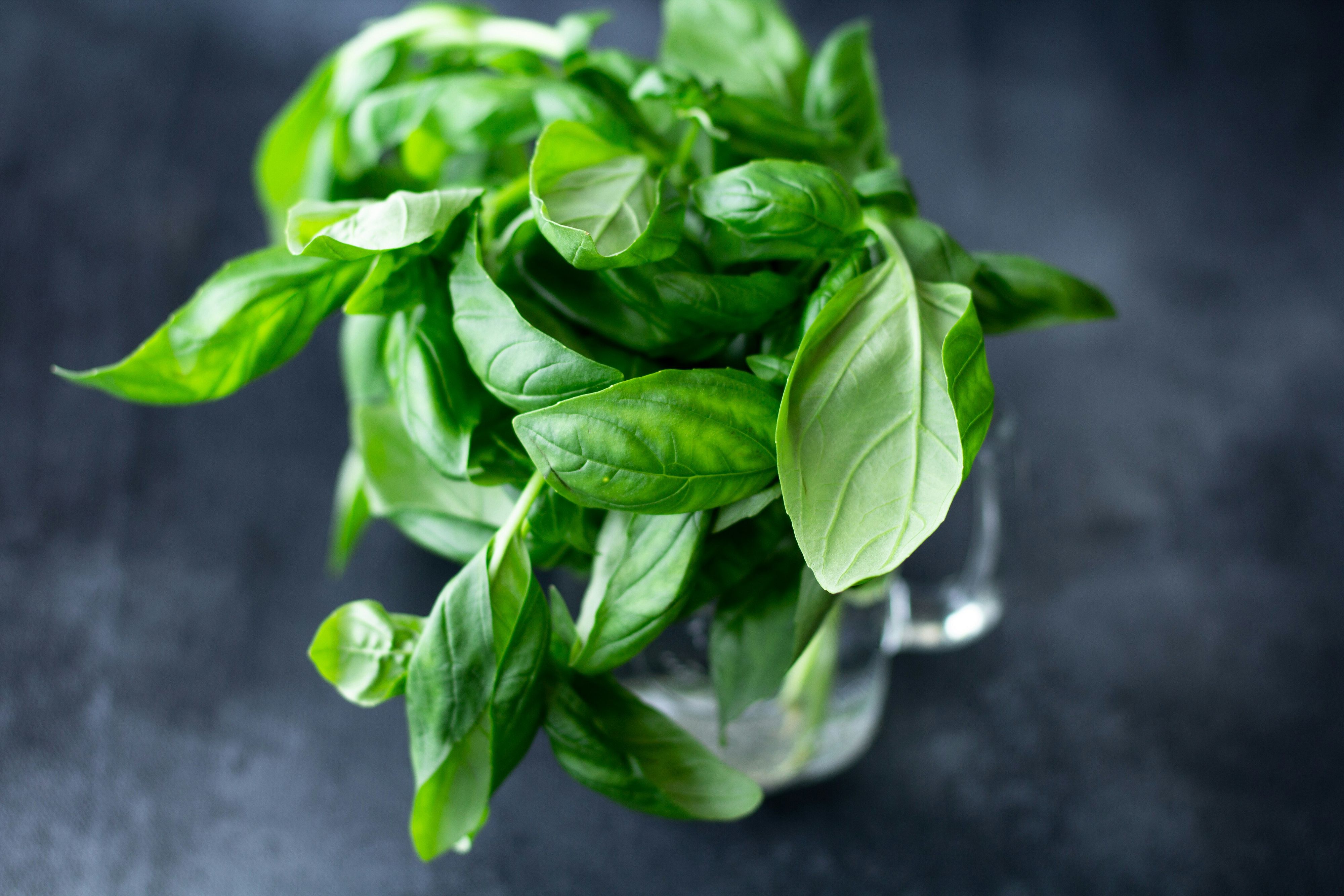 © Unsplash