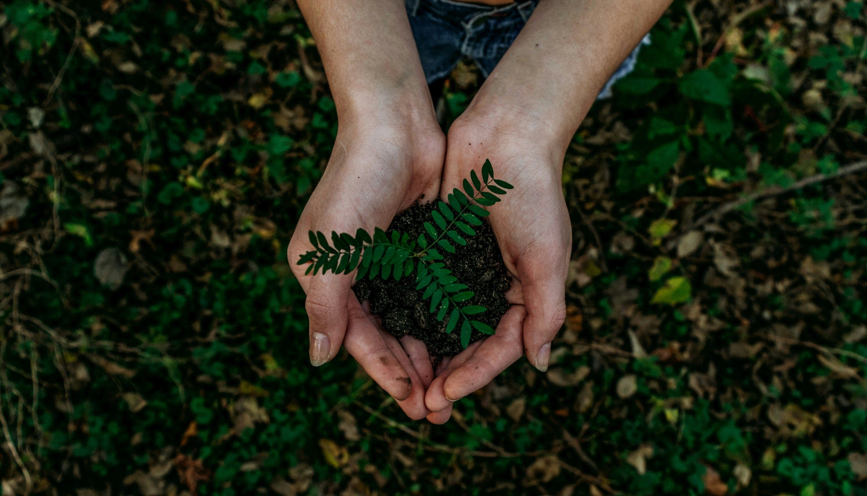 © Unsplash