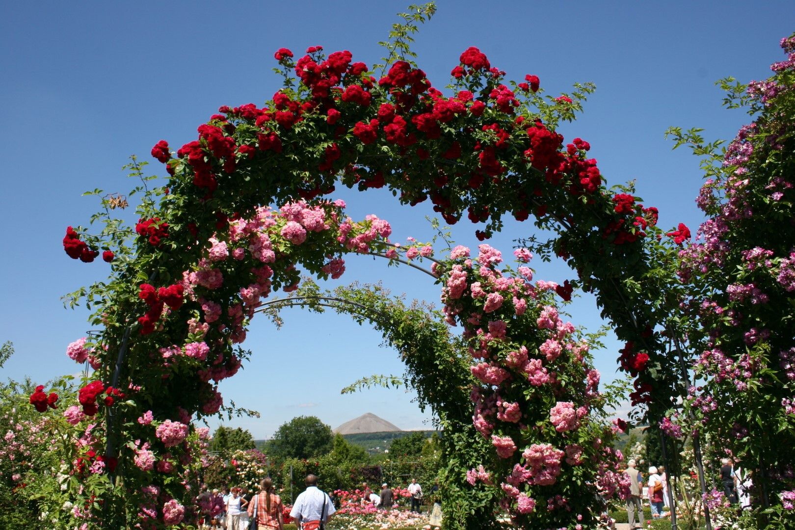 © Ente del Turismo  | Il “giardino delle rose” di Sangerhausen
