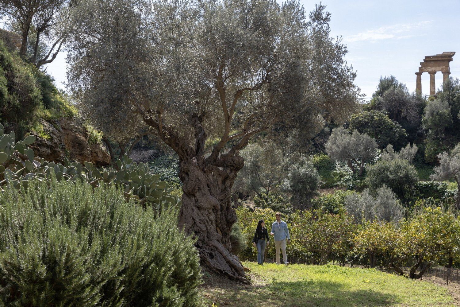 © Ufficio stampa |   Giardino della Kolymbethra, Parco Valle dei Templi (AG). Foto: Barbara Verduci   (C) FAI