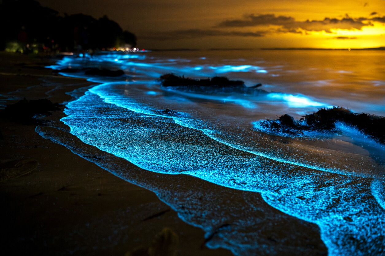 © Istockphoto | Mosquito Bay, Porto Rico
