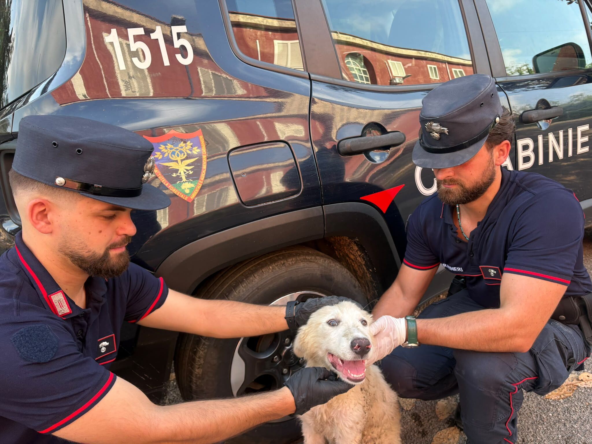 © Carabinieri