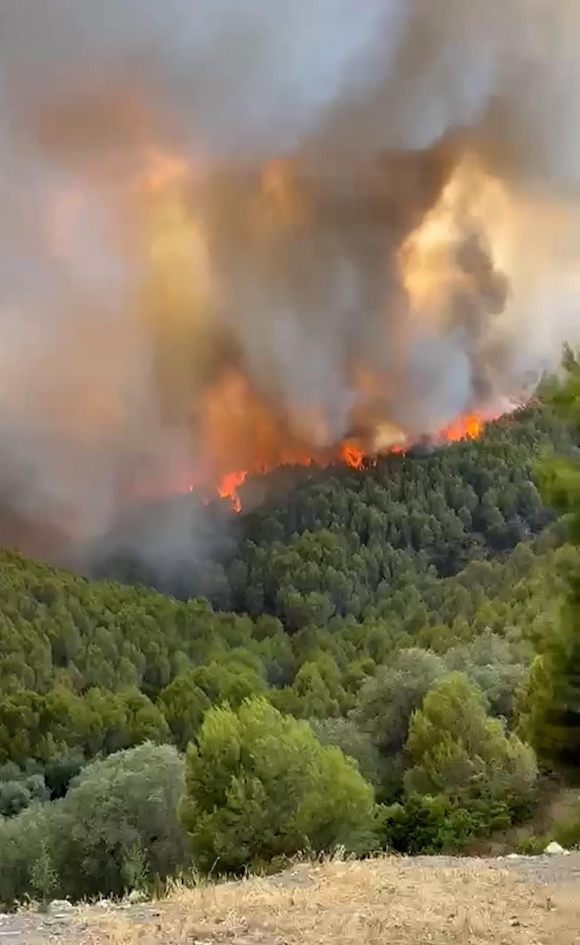 © Ansa | Incendio in località Pile Fraballe, zona rurale e periferica nel comune di Peschici