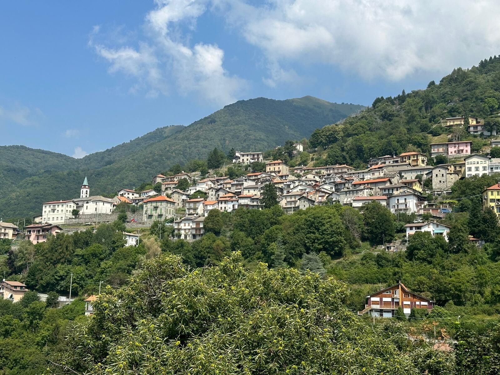 © Da ufficio stampa 