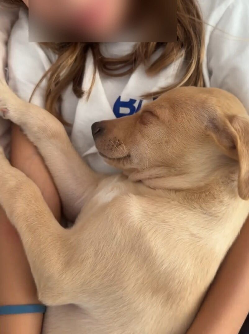 © Instagram | Giulietta, la nuova cagnolina di Silvia Provvedi