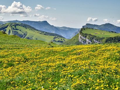 © Ente del Turismo  | Baita Segantini