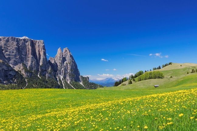 © Istockphoto  |  Lo Sciliar e le sue streghe – Alto Adige: una montagna magica e percorsi fantastici 