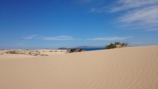 © Ufficio stampa  | Duna del Pilat, Francia