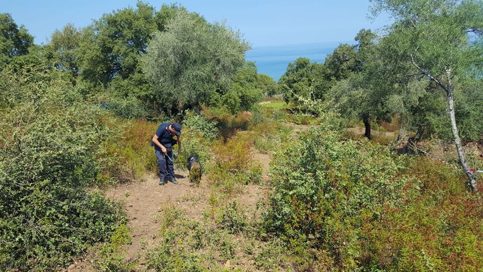 © Polizia 