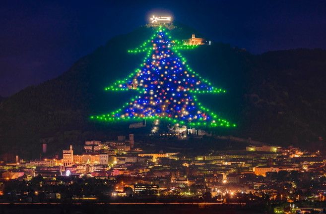 © Istockphoto  |  Gubbio, l'albero sul monte Ingino