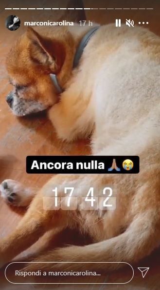 © Instagram 