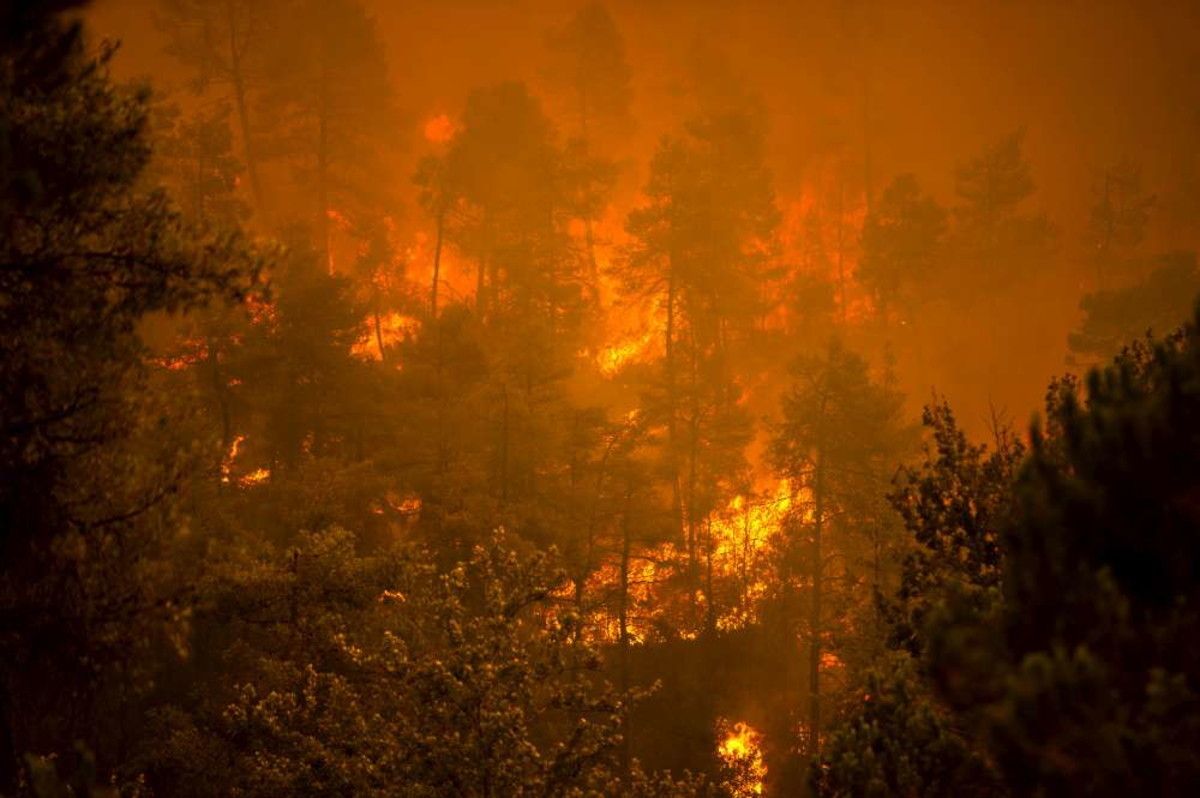 © Afp 