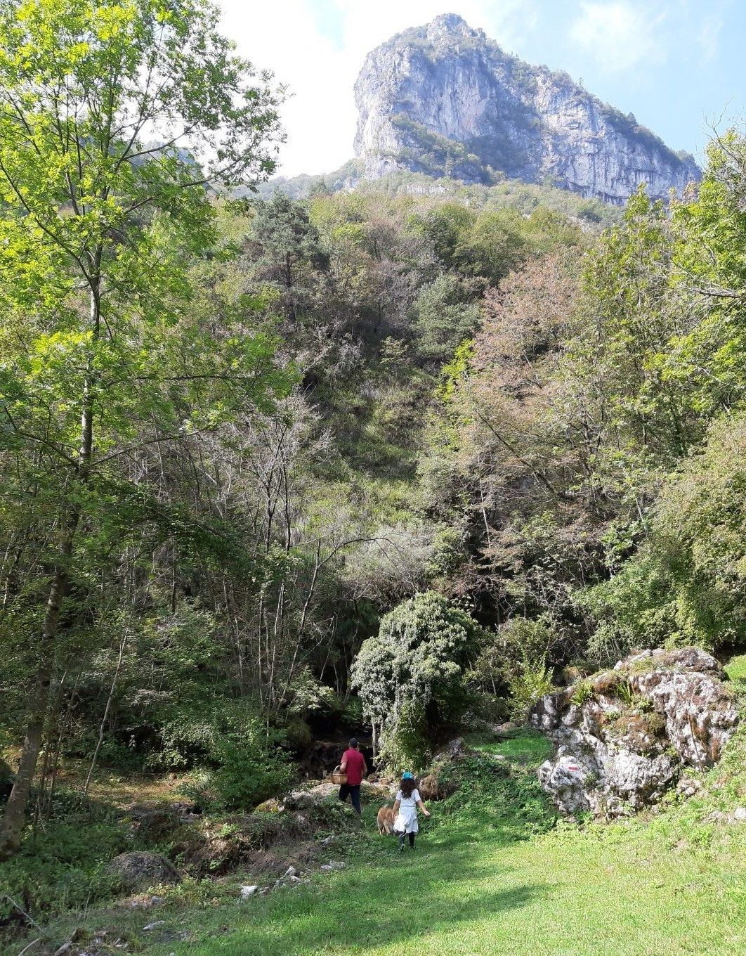 © Ente del Turismo  | Gardone Riviera, Monte Pizzocolo