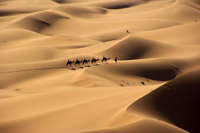 © Istockphoto  | Oltre al Sahara, ci sono molti deserti sulla terra, immensi e affascinanti, ciascuno a modo suo