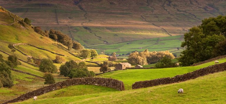 © Istockphoto  | Yorkshire Dales 