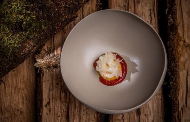   | Noma