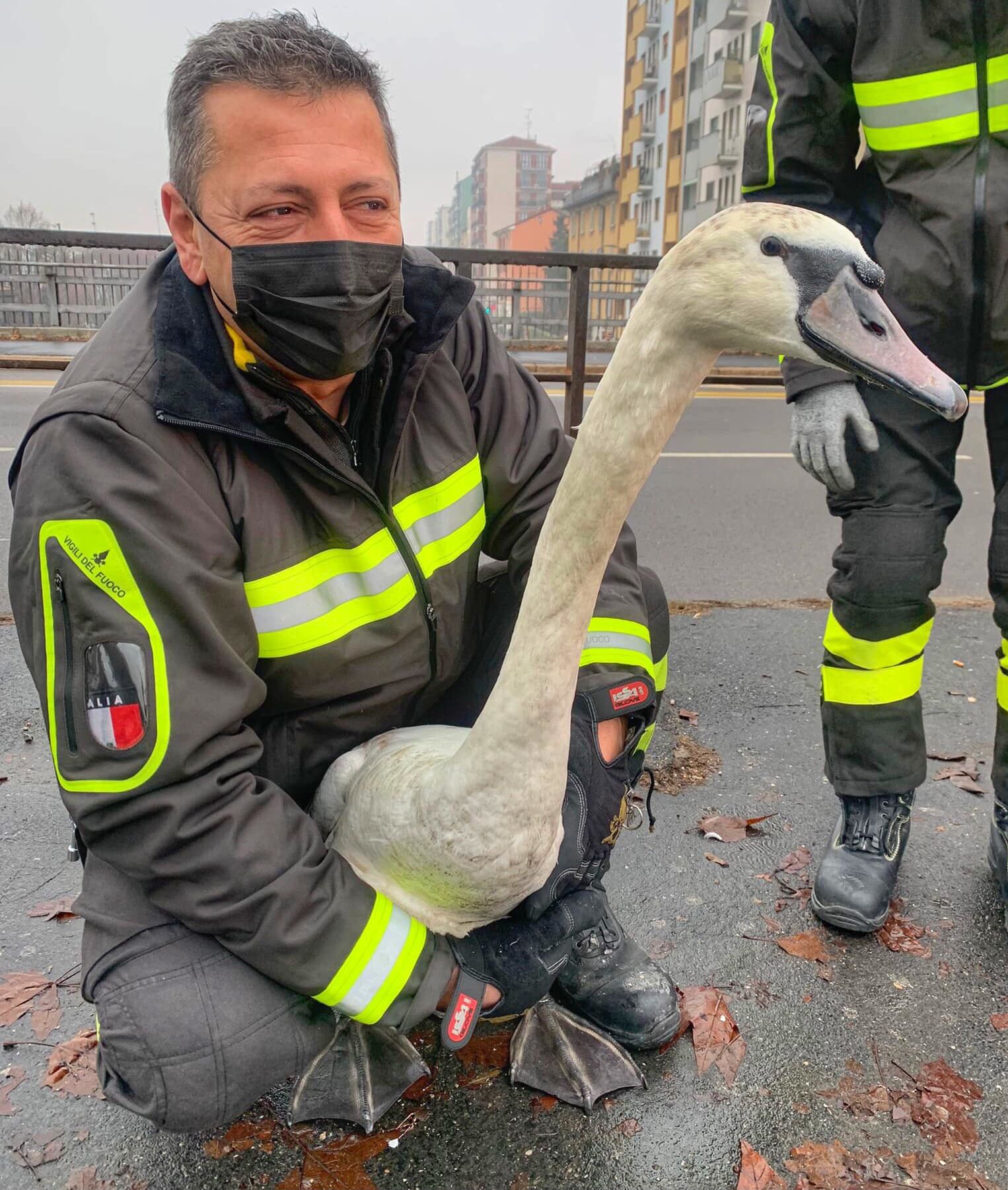 © Facebook / Vigili del fuoco 