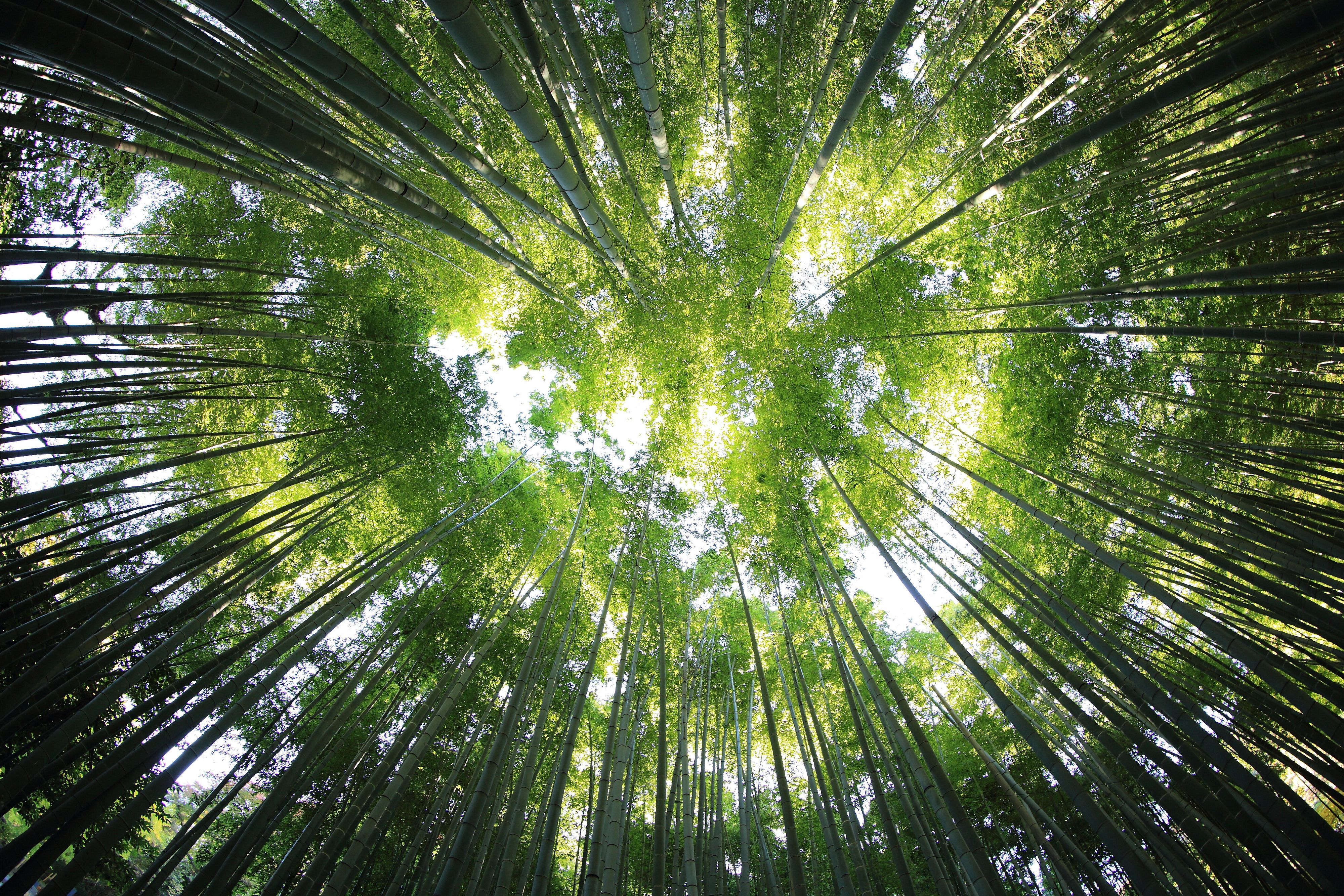 © Unsplash