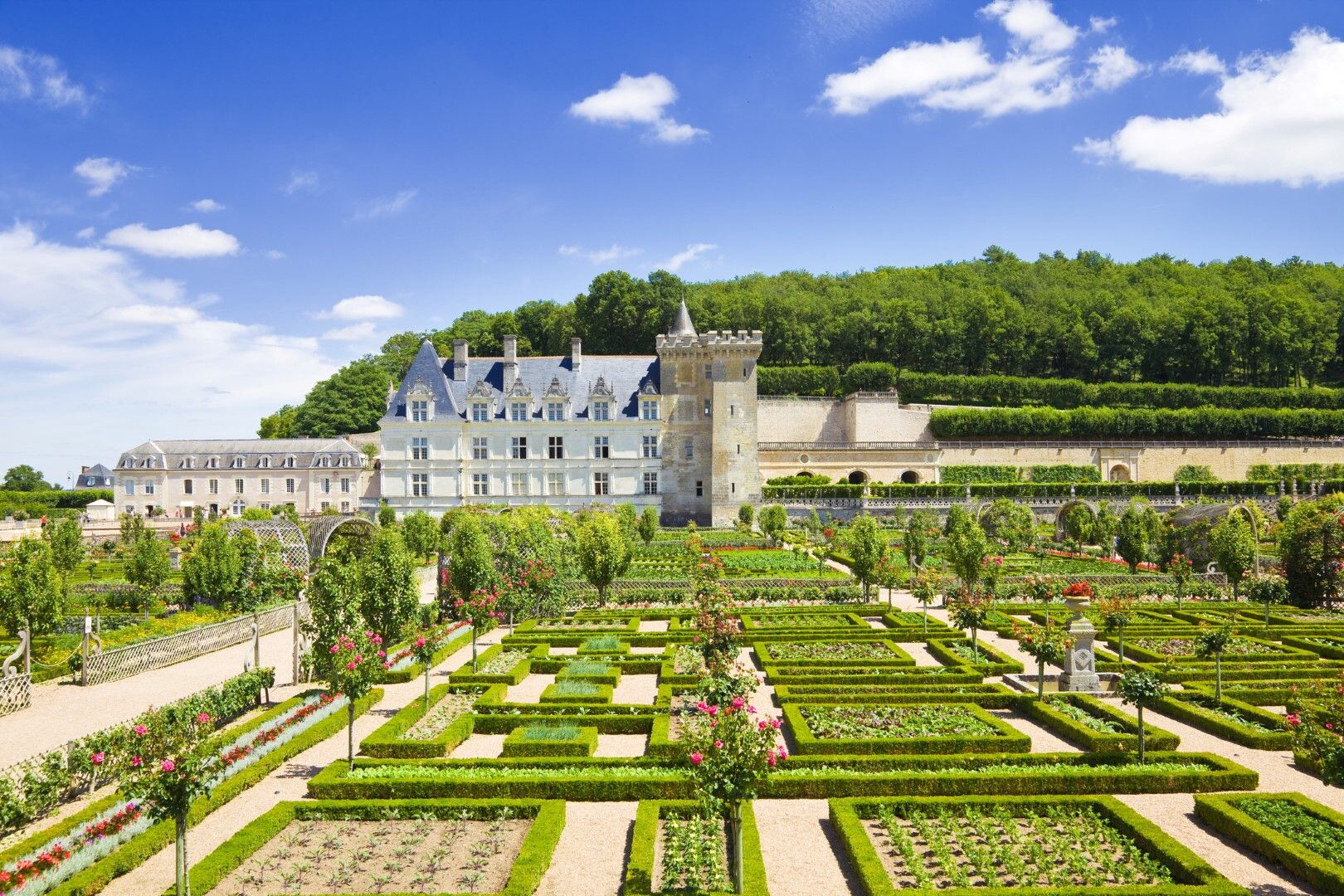 © Istockphoto  | Clos Lucé