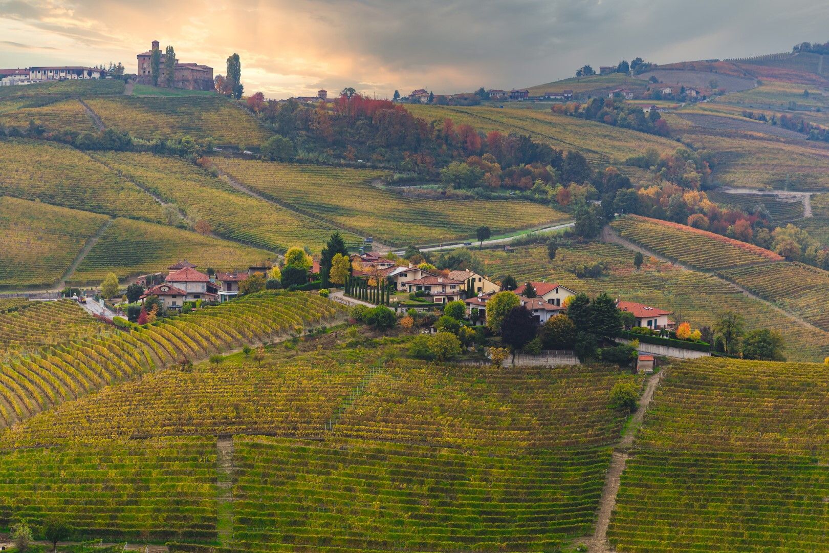 © Istockphoto  | Langhe