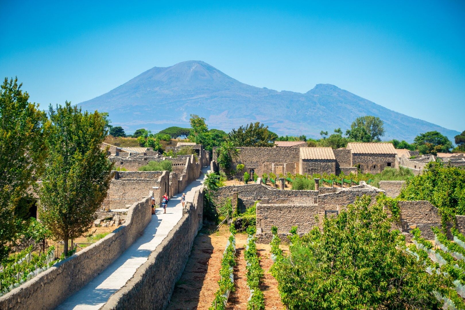 © Istockphoto  | IL PIÙ EROICO: La Geria, Lanzarote, Isole Canarie 