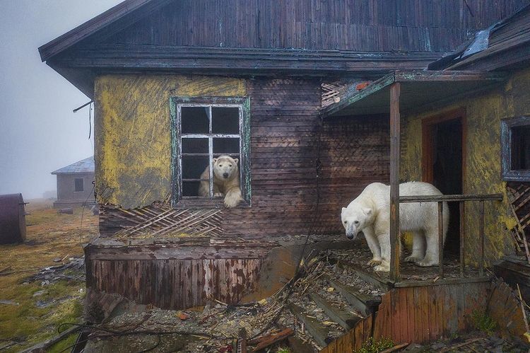 © Instagram