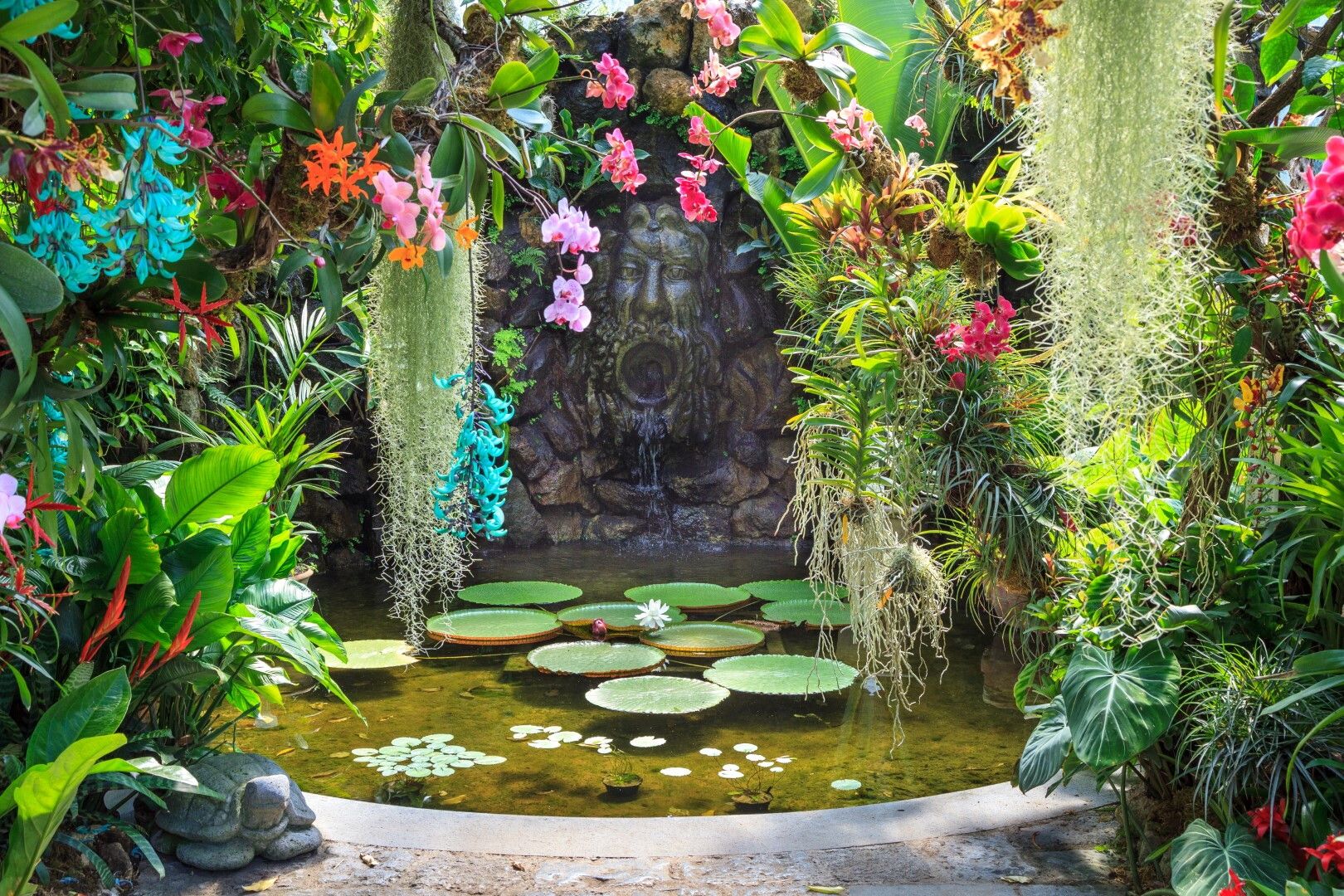 © Ufficio stampa  | Serra della ninfea, Victoria amazonica, Archivio Fondazione Walton