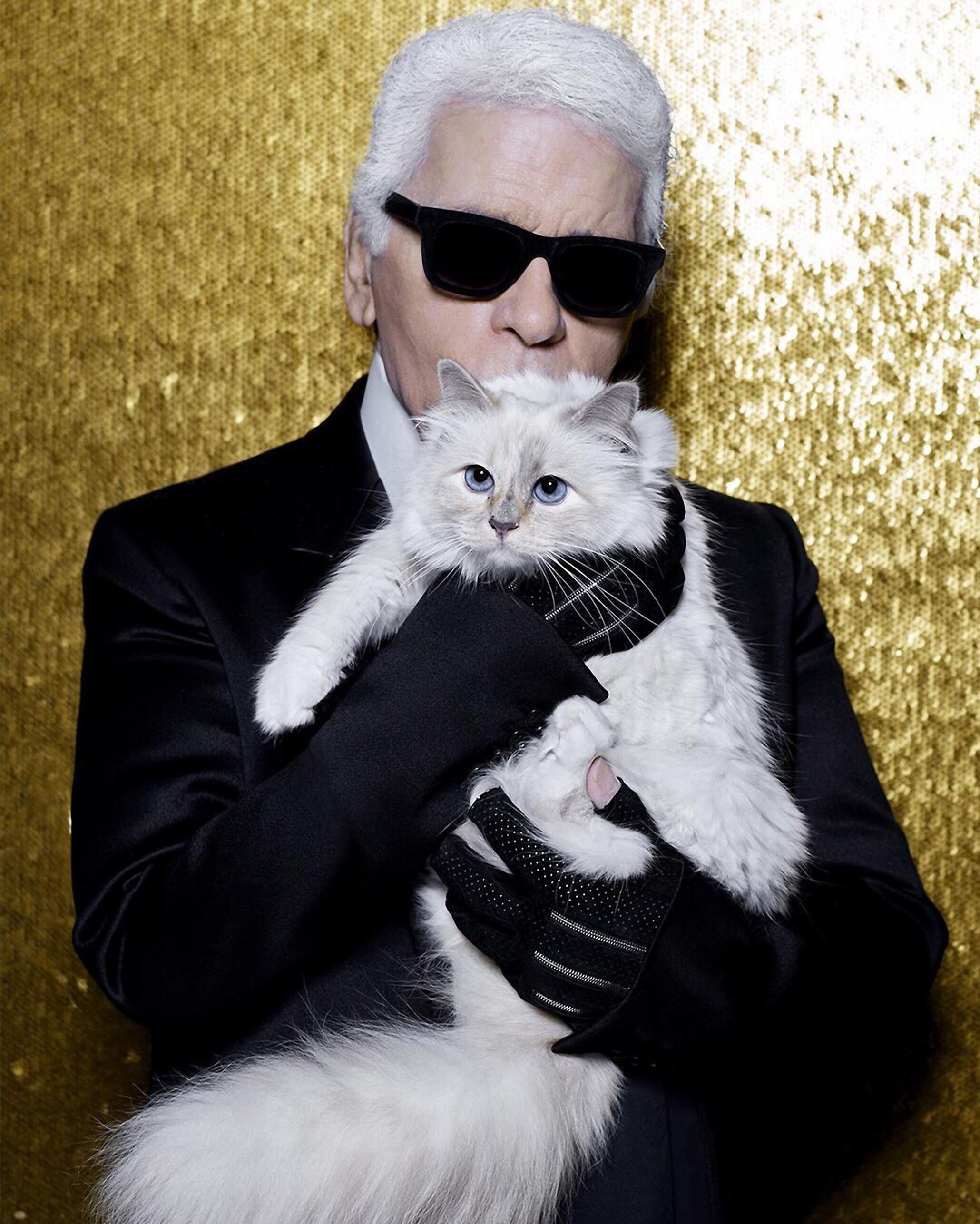 © IPA  | Karl Lagerfeld, l’indimenticato (e indimenticabile) | Con l'amatissima gatta Choupette