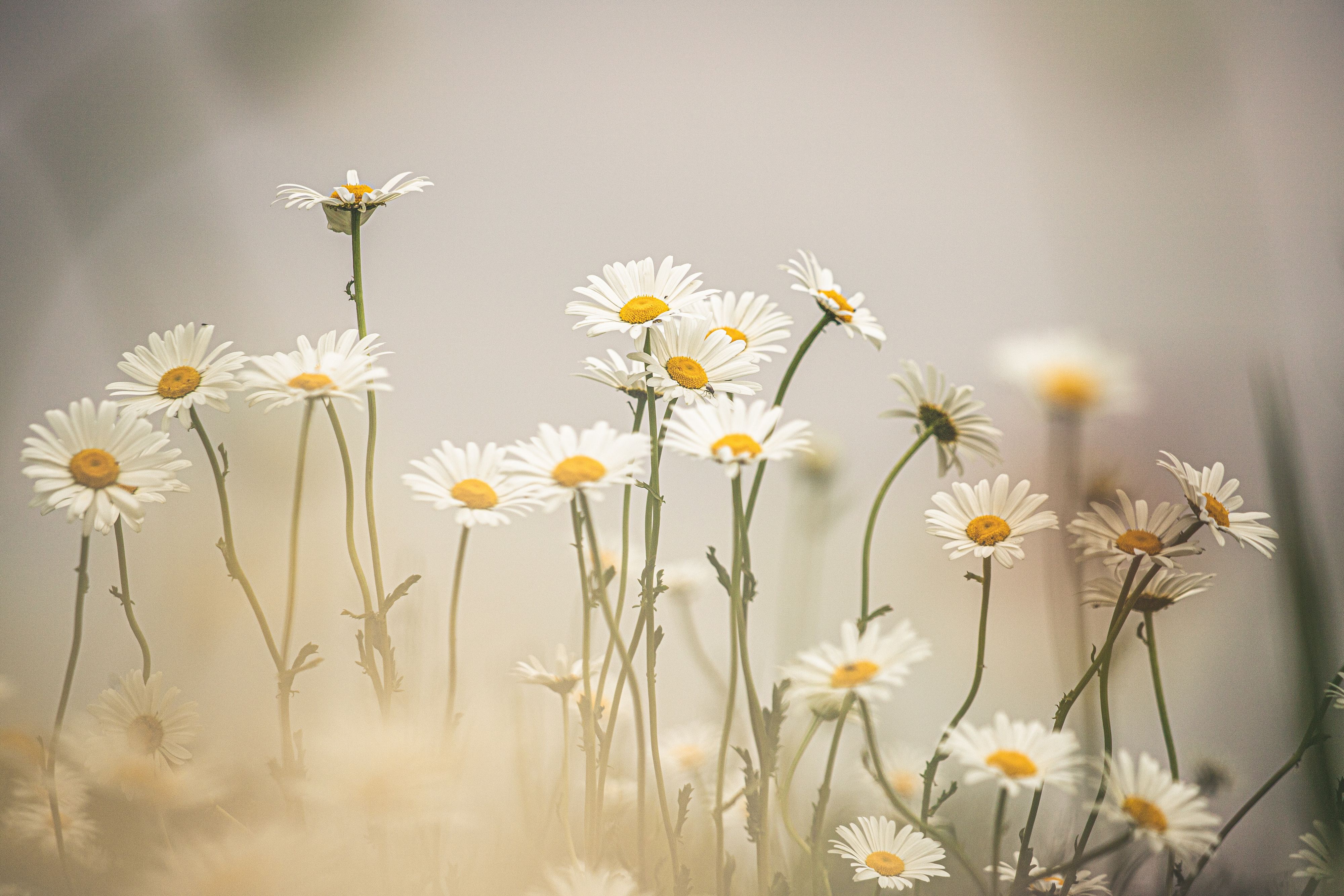 © Unsplash