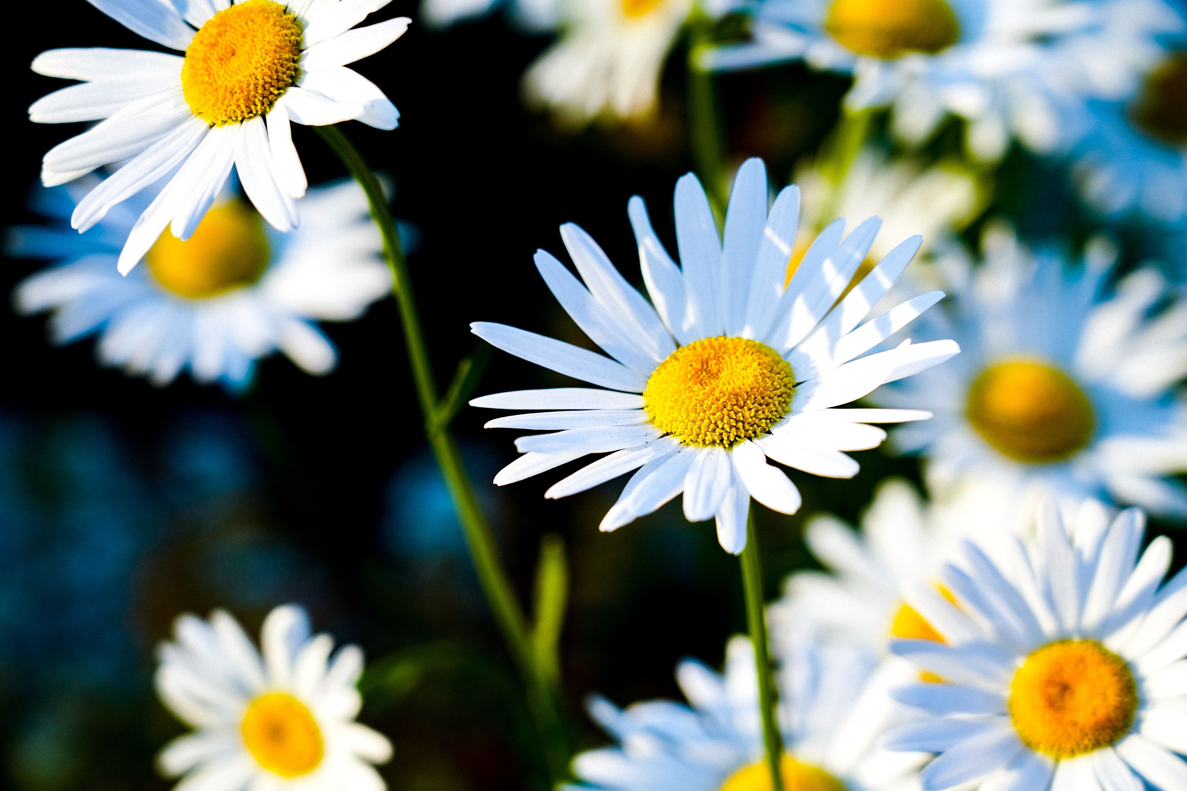 © Unsplash