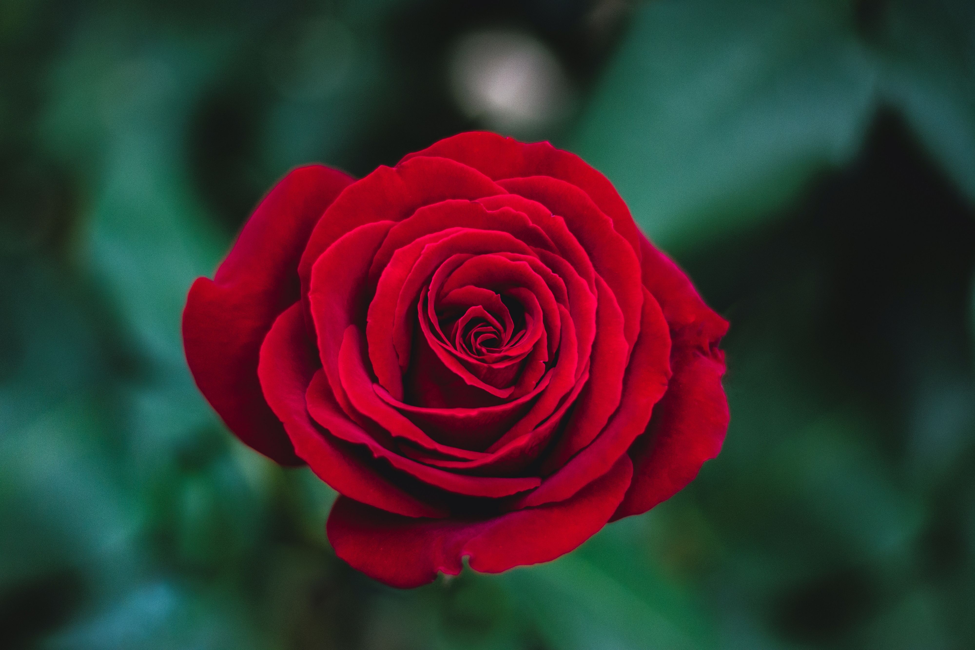 © Unsplash
